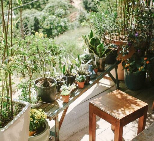 Tips for Creating a Cozy and Inviting Outdoor Living Space at Home