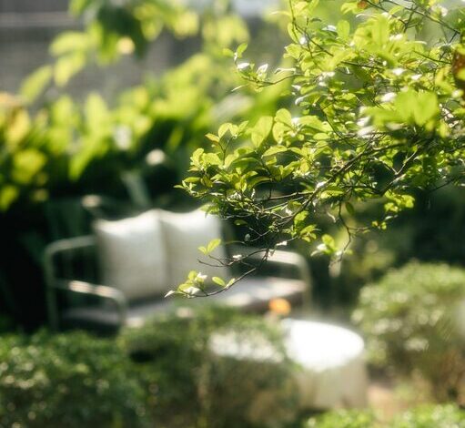 Tips for Creating an Inviting Outdoor Space in Your Backyard