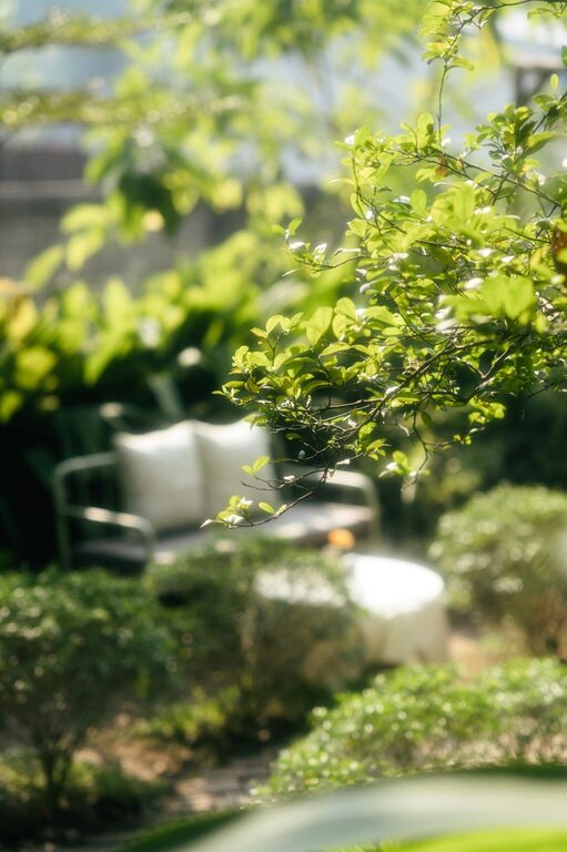 Tips for Creating an Inviting Outdoor Space in Your Backyard