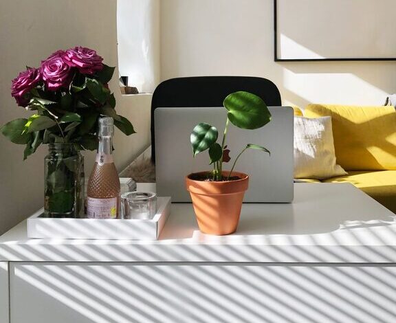 Tips for Creating a Cozy and Productive Home Office Space